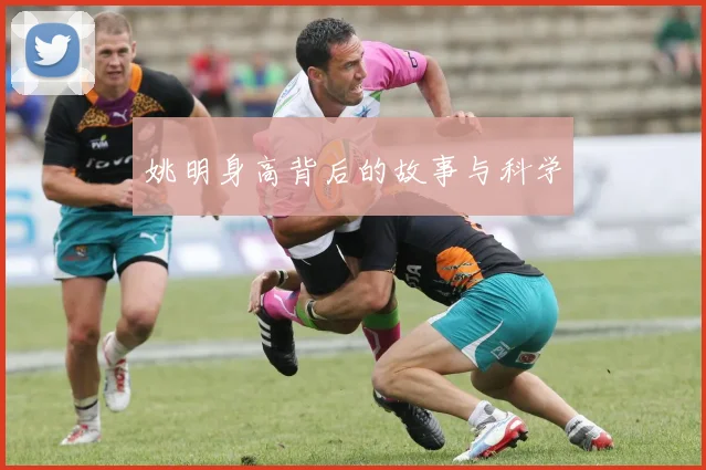 姚明身高背后的故事与科学