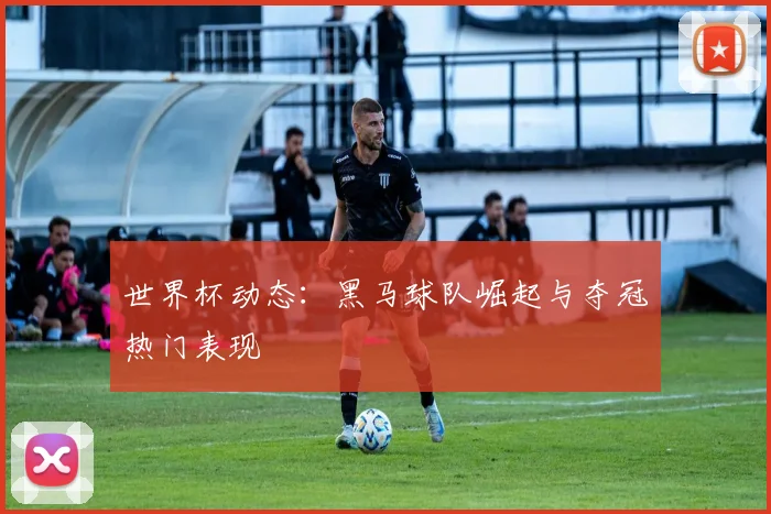 世界杯动态：黑马球队崛起与夺冠热门表现